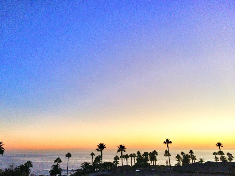 Exploring Coves at Laguna Beach