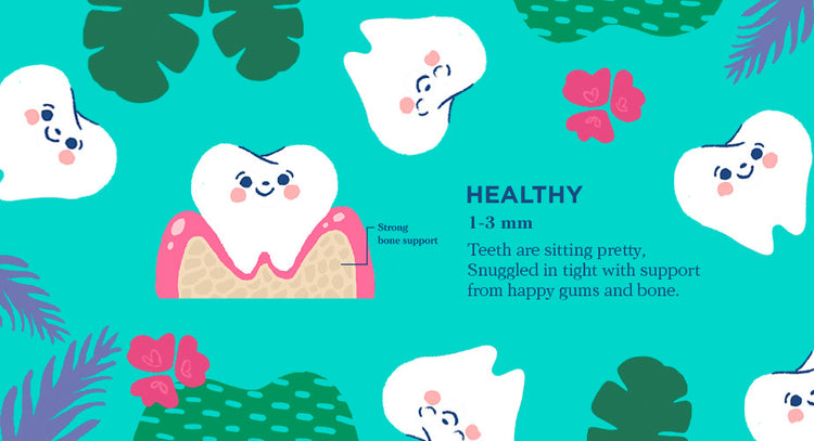 The Periodontal Exam Explained: The Reason for All That Poking